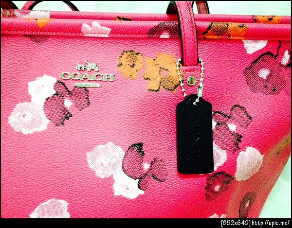 COACHมาใหม่สดใสถุกใจสาวๆ,COACHรุ่นที่สาวต้องชอบ,CherrynatshopขายCOACHแท้และถูก,COACH F35161, COACH 35161, F35161, 35161, COACH F35161 STREET ZIP TOTE IN FLORAL PRINT CANVAS, COACH 35161 STREET ZIP TOTE IN FLORAL PRINT CANVAS, Coach, กระเป๋าCOACHแท้100%, COACHแท้100%, กระเป๋า Coach พร้อมส่ง, แบรนด์เนม, พร้อมส่ง, COACH พร้อมส่ง, กระเป๋าcoachแท้และถูกคลิกเลย, กระเป๋าพร้อมส่งcoach ราคาถูก, Coach แท้, กระเป๋าCoach แท้, กระเป๋าสะพาย coach, coach bags,COACH TOTE,COACH SIGNATURE,