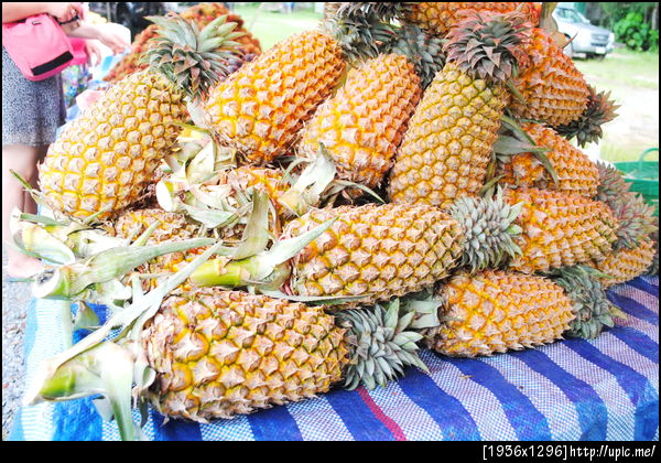 436-3ยานัด