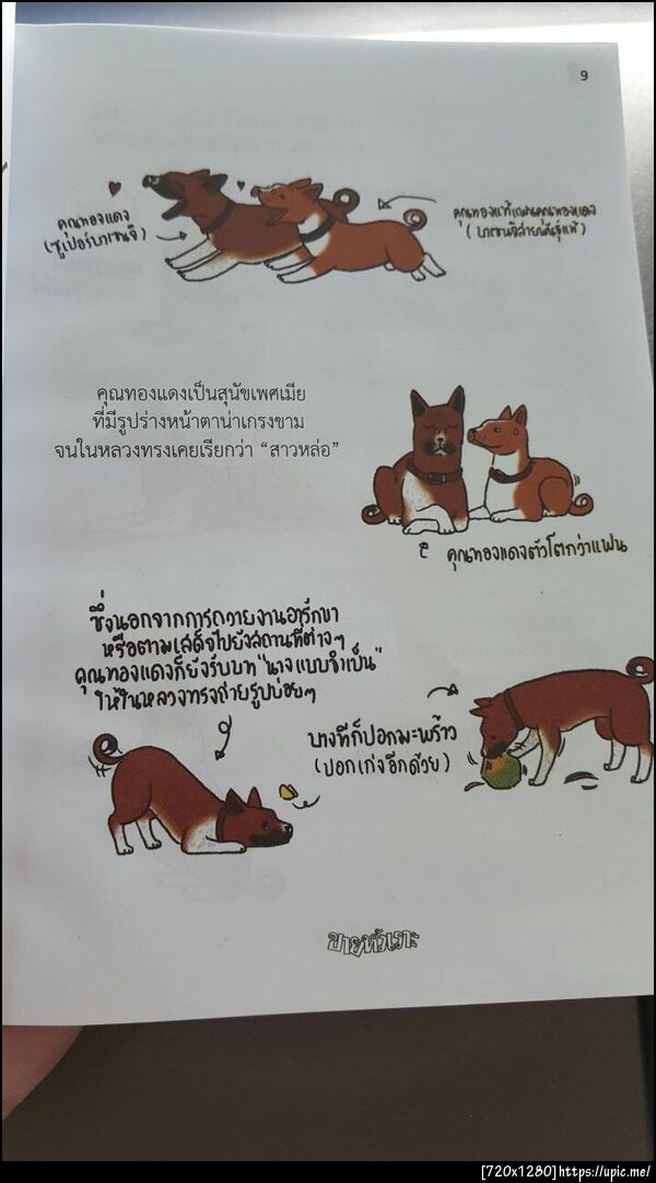 ฝากรูป