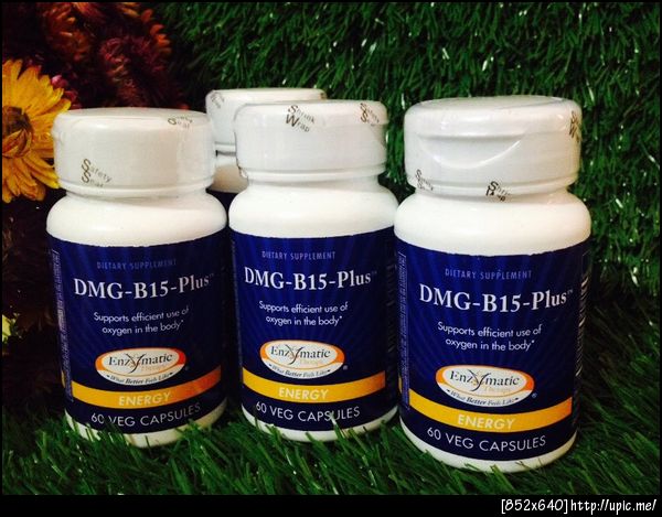 Cherrynatshopนำเข้าวิตามิน B15 1. ช่วยลดระดับคลอเลสเตอรอลในกระแสเลือด 2. ป้องกันอาการอ่อนเพลีย 3. ช่วยบรรเทาอาการของโรคหืด และอาการเจ็บหน้าอกเนื่องจากกล้ามเนื้อหัวใจขาดเลือด 4. ช่วยป้องการการเกิดโรคตับแข็ง วิตามิน B15 พบมากใน ข้าวกล้อง เมล็ดฟักทอง เมล็ดงา เมล็ดธัญพืชไม่ขัดสี