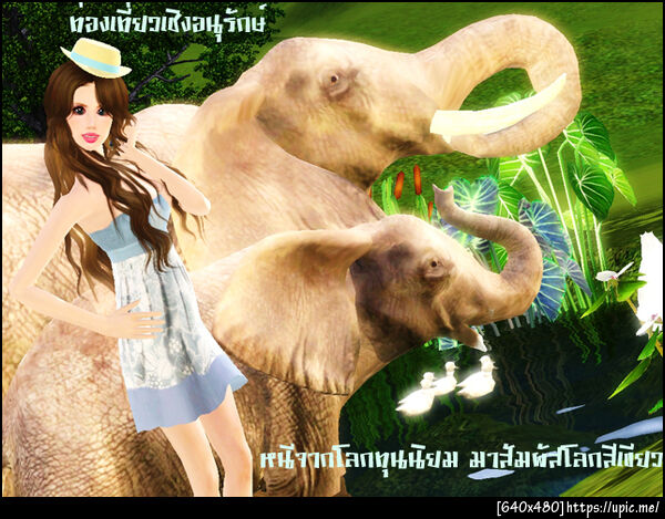 ฝากรูป