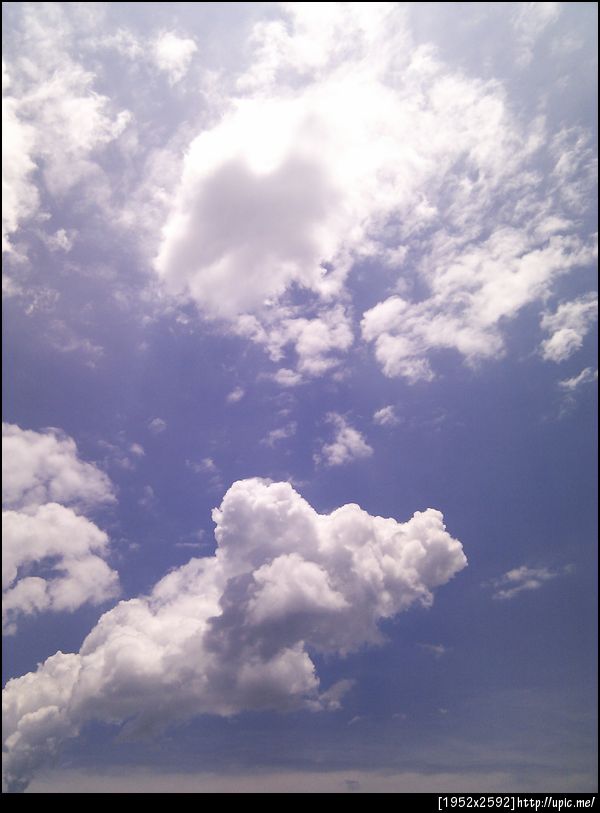 ฟ้าแจ่มแมว แต่แดดแรงเวอร์