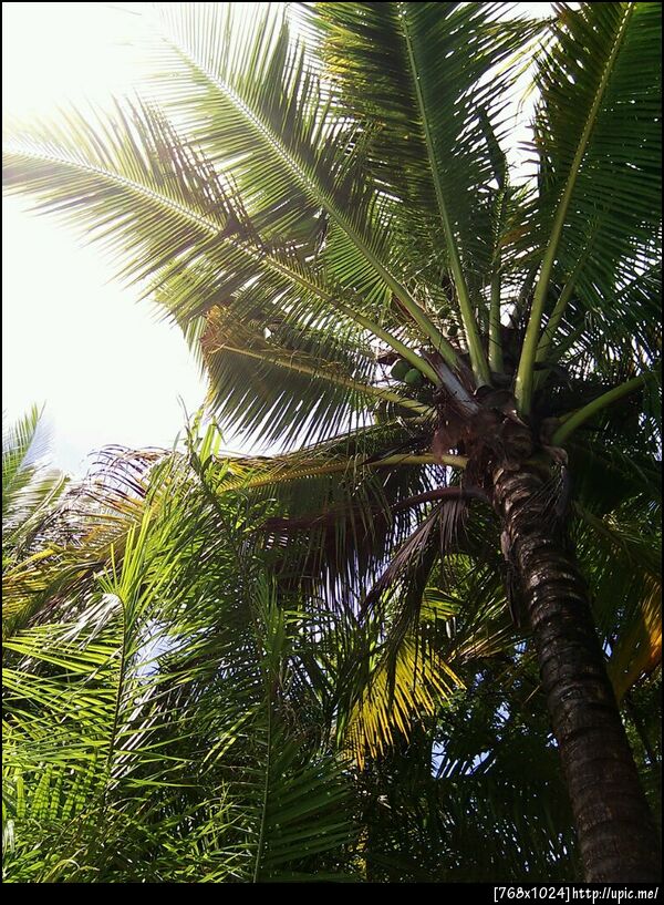 บรรยากาสรีสอร์ท #TARADouting