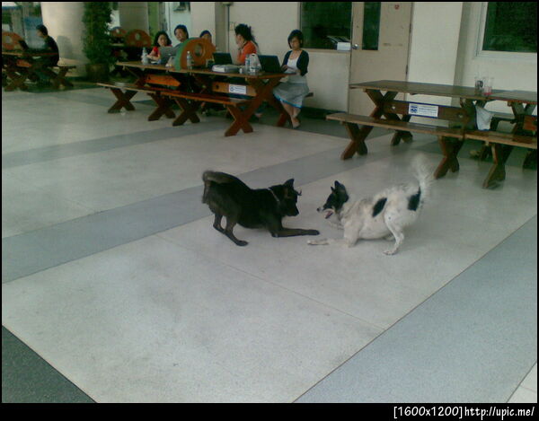 สมรภูมินักสู้