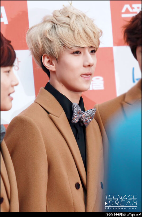 [Pic] 130131 Sehun - Seoul Music Awards [Teenage Dream] 17P