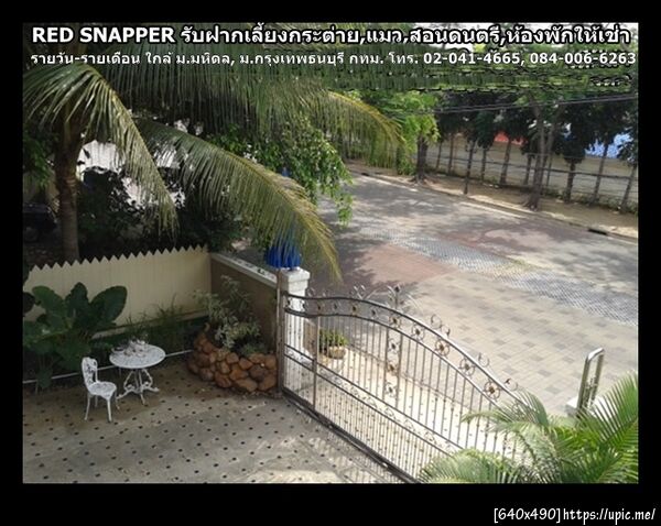 ฝากรูป