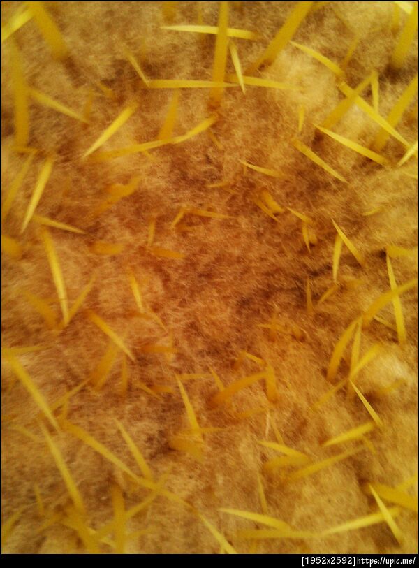 ทายซิ อะไรเอ่ย