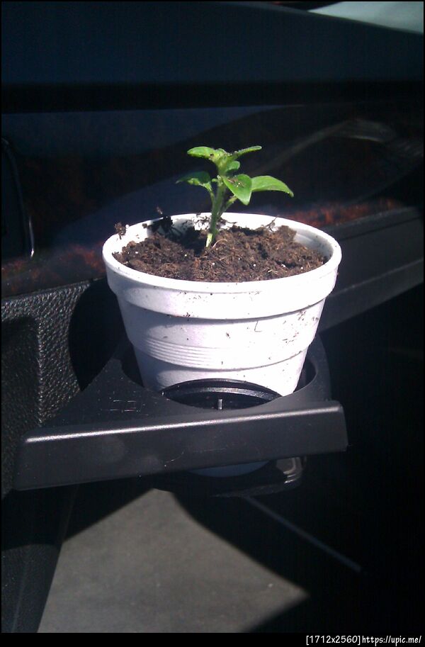 just picked up ciara from school and me made me this for mothers day... how cute lol =]