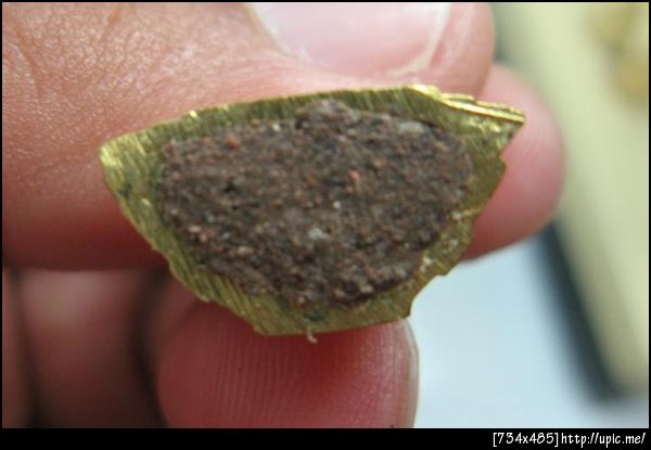 เนื้อทองทิพย์