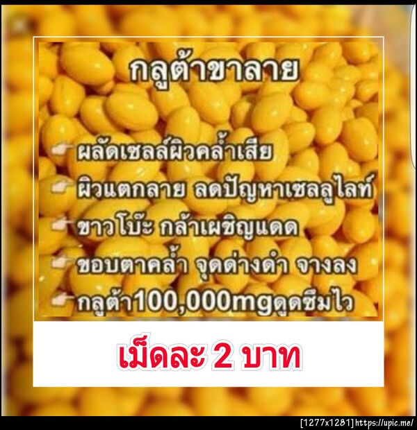 กลูต้าขาลาย