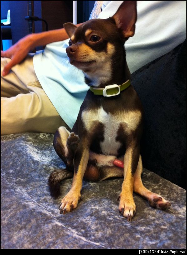 เออะ เจี๊ยวโผล่