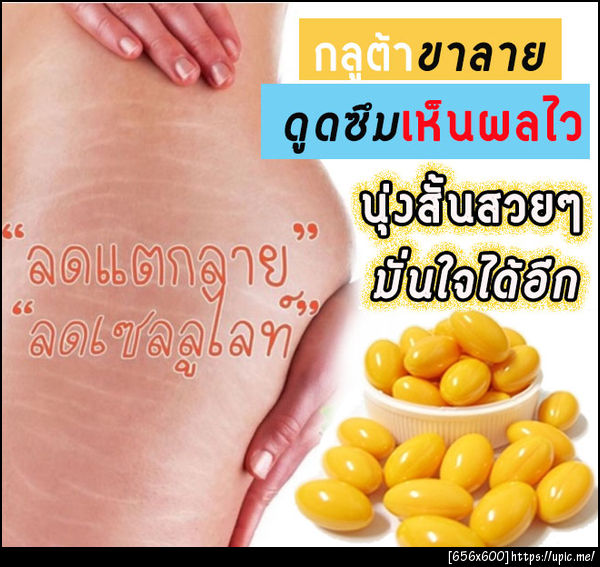 กลูต้าขาลาย2