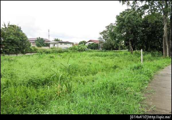 	ขายบ้านเดี่ยว ขายบ้านพร้อมที่ดิน ขายบ้าน4ห้องนอน, แม่ริม