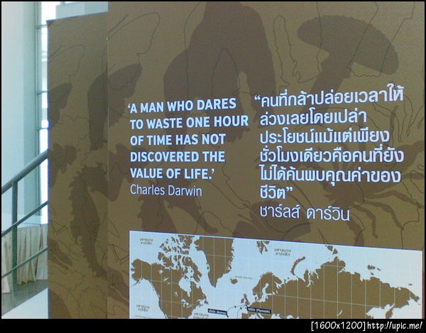 ผมคงยังไม่ค้นพบคุณค่าของชีวิต