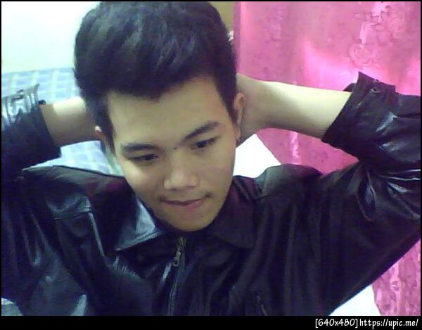 แม็กโนเรีย