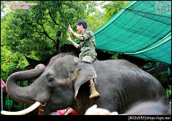 ฝากรูป
