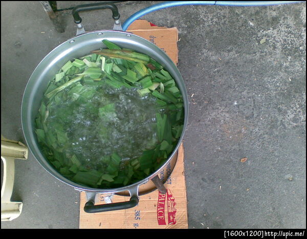 น้ำใบเตย