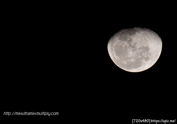 คมชะมัด 70-200 F4 L ถ่ายมาตะกี้เอง ,, ^^