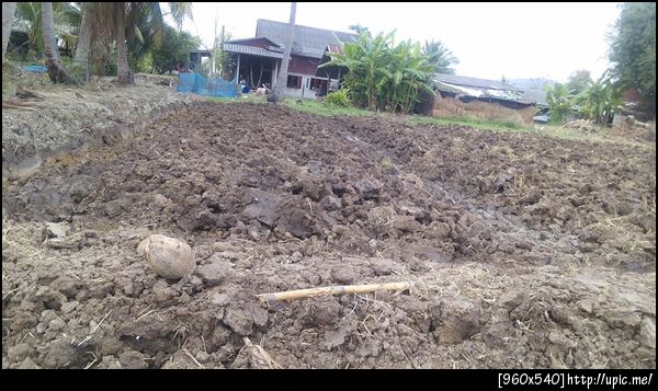 เกษตรลุงคิม