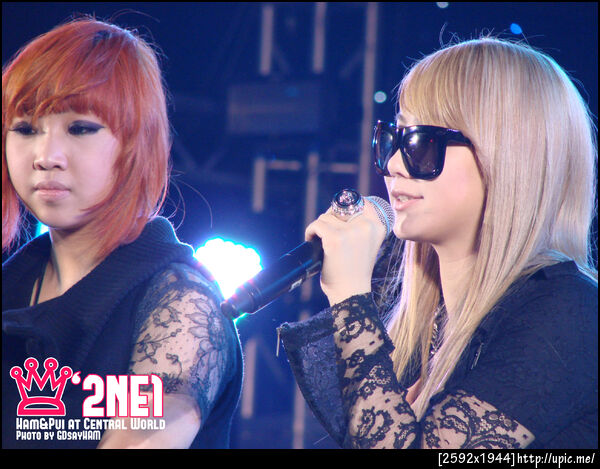 Fiore Party in Thailand 101218