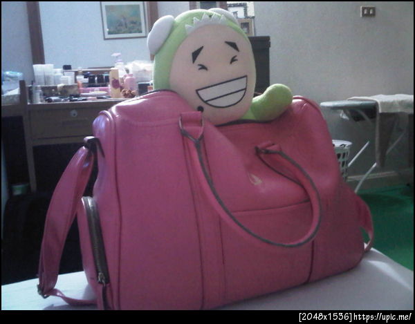 @petdo เตรียมตัวไปเที่ยวกระบี่นะฮ๊าฟฟฟฟ