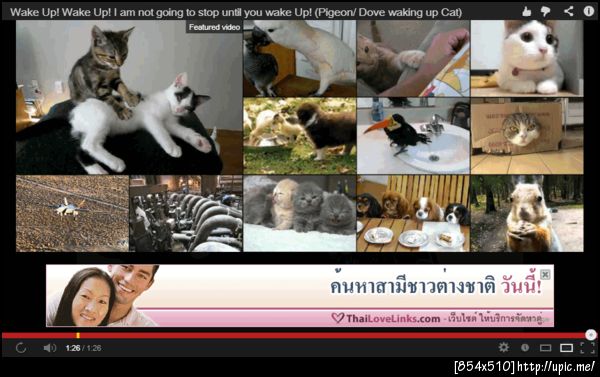 ดูคลิปเมื่อกี้จบแล้วโฆษณาขึ้นมาแบบนี้.... *รีบคลิกเข้าไปทันที*