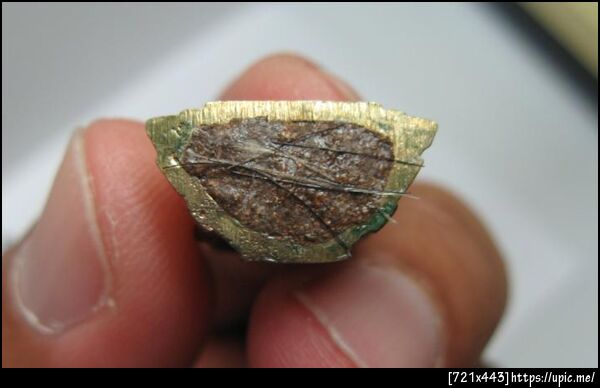 ก้น เนื้อชนวนล้วน 