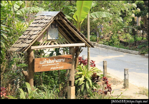 แม่กำปอง