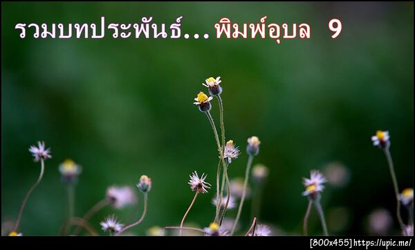 ฝากรูป