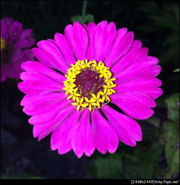 ลองยิง Flash กลางวันแสกๆดู #iPhone5s #upicmesender