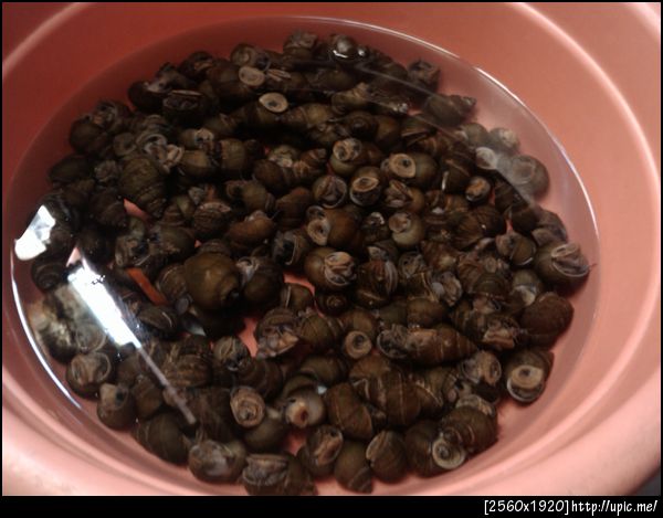 ส่งหอยมาทดสอบ