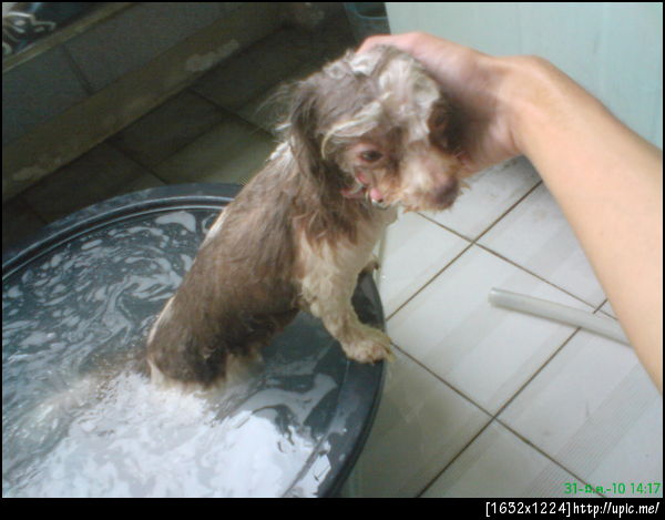 แกเสร็จชั้นแล้ว ไอ้หมาโง่