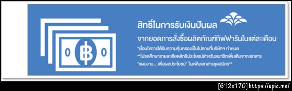 สินค้าใหม่  3