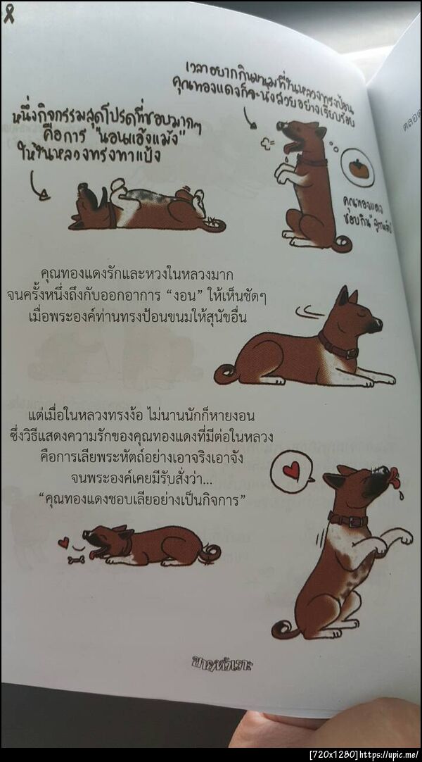 ฝากรูป