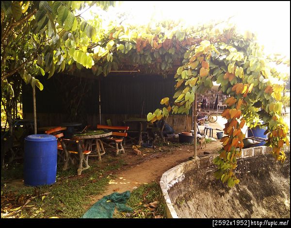 ที่นั่งเล่นคอมยามบ่าย