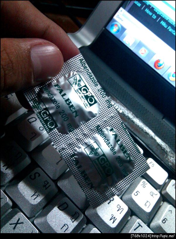 ยาถ่ายพยาธิประจำปี