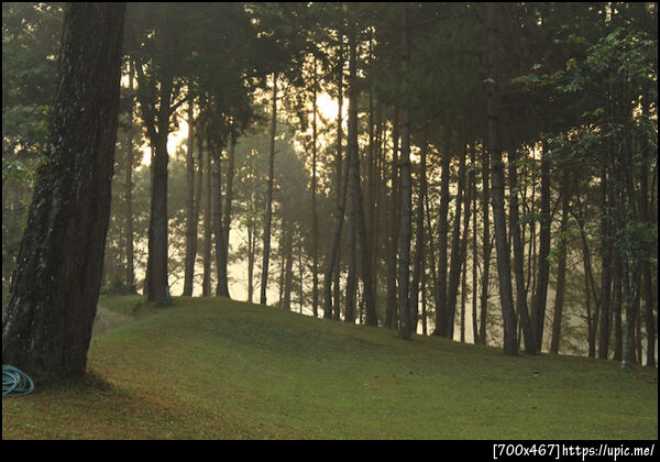 ปางอุ๋ง