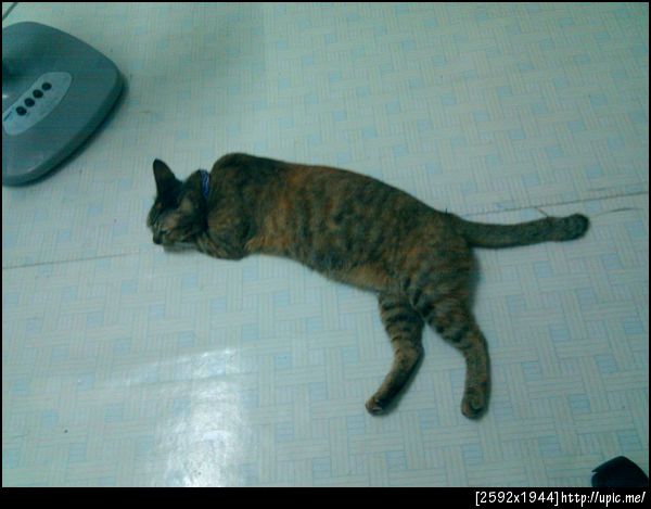 นอนซะงั้น