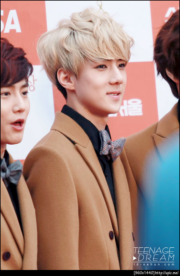 [Pic] 130131 Sehun - Seoul Music Awards [Teenage Dream] 17P