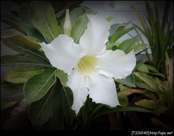 อันนี้ภาพของ @mangmo