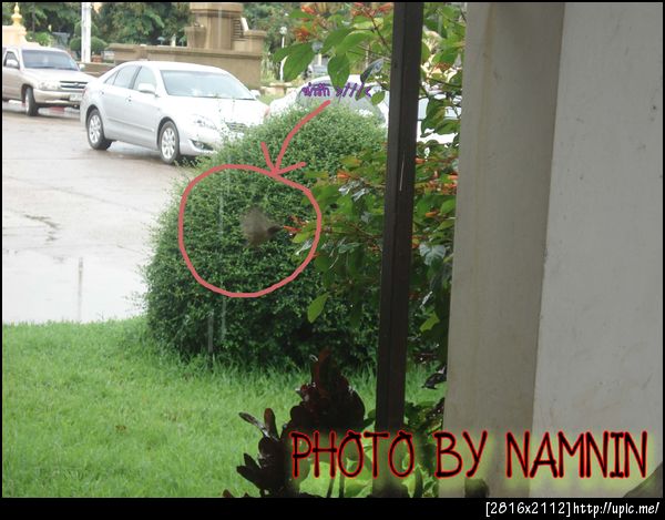 นกน้อยที่เมย์เห็นแล้วเฉยๆ -*-