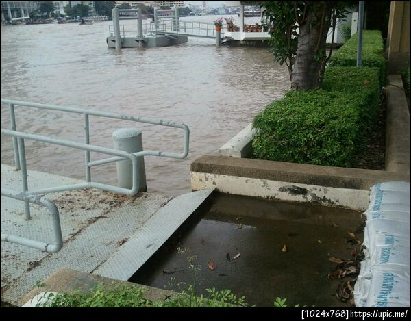 1 ft. ตอนค่ำจะเหลือเรอะ