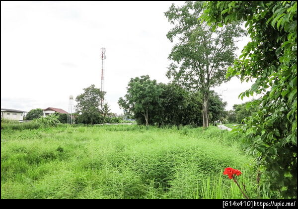 	ขายบ้านเดี่ยว ขายบ้านพร้อมที่ดิน ขายบ้าน4ห้องนอน, แม่ริม