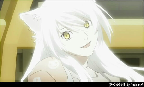 น้องแมว