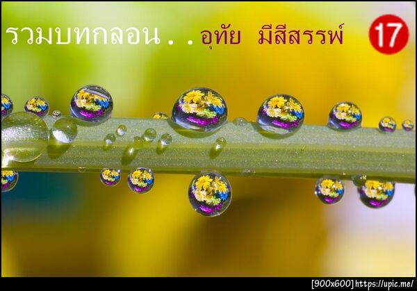 ฝากรูป