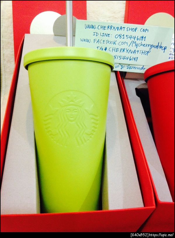 #Stainless Steel Cold Cup - Chartreuse, Matte Redขนาด16 fl oz ราคา 1,750บาท
