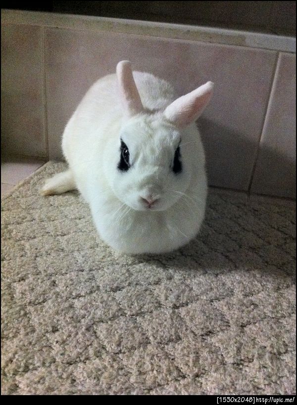 แง่มๆๆ,,,นู๋น่ารักไหมข๊ะ ??