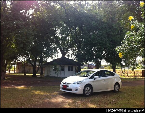 Prius จอดหน้าฟาร์มหมู