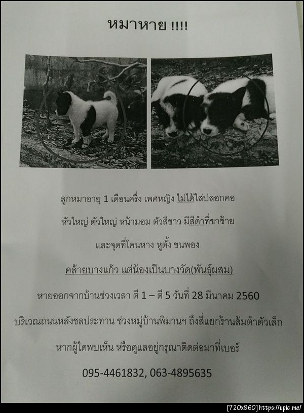 ฝากรูป