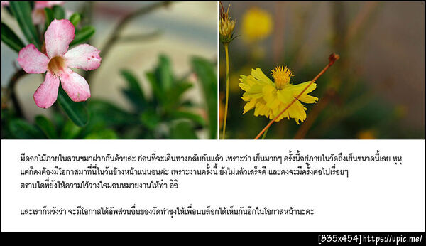 ฝากรูป